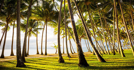 Thumbnail: Moving Brisbane to Cairns: Your FNQ relocation guide