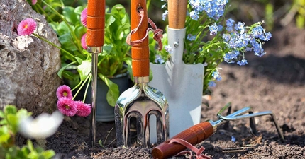Thumbnail: How to pack garden tools for moving: Expert tips & techniques