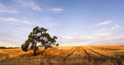 Thumbnail: Moving to Shepparton: What you need to know before moving here